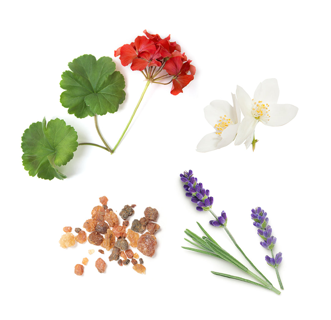 antiagingmoisturizer whats inside 1085x1050 eu