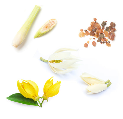 doterra sun ásványi fényvédő stift arcra és testre alapanyagai