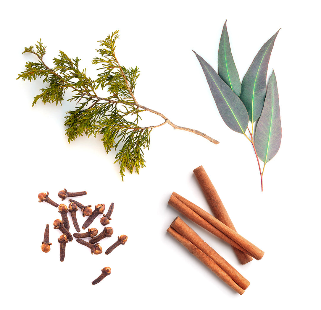 Doterra Harvest Spice összetevői