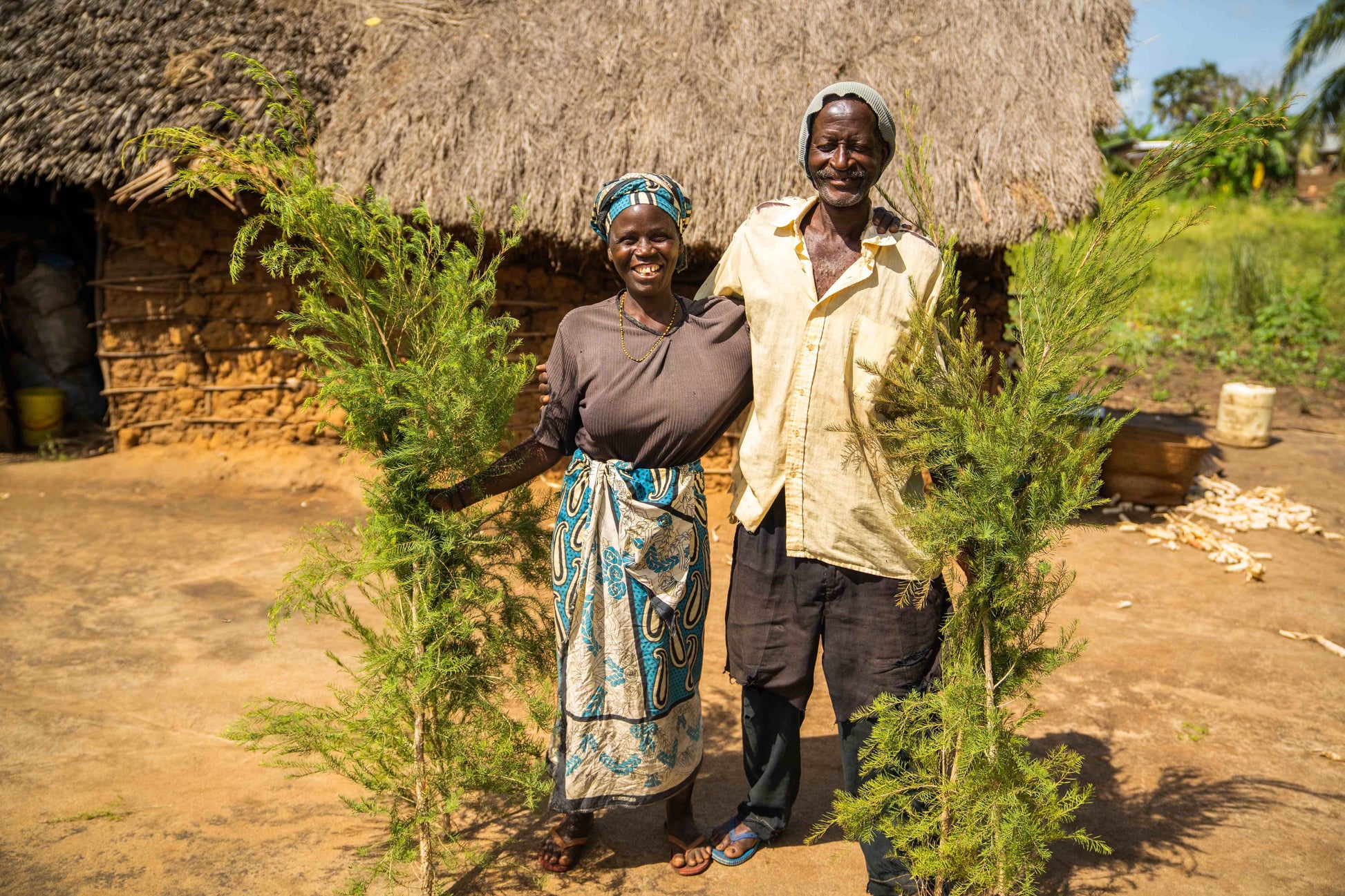 Doterra Teafa (Tea tree) illóolaj 15 ml