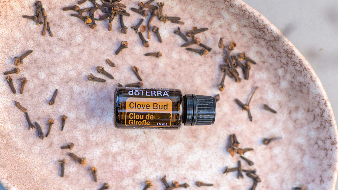 Doterra Szegfűszeg illóolaj - clove 15ml