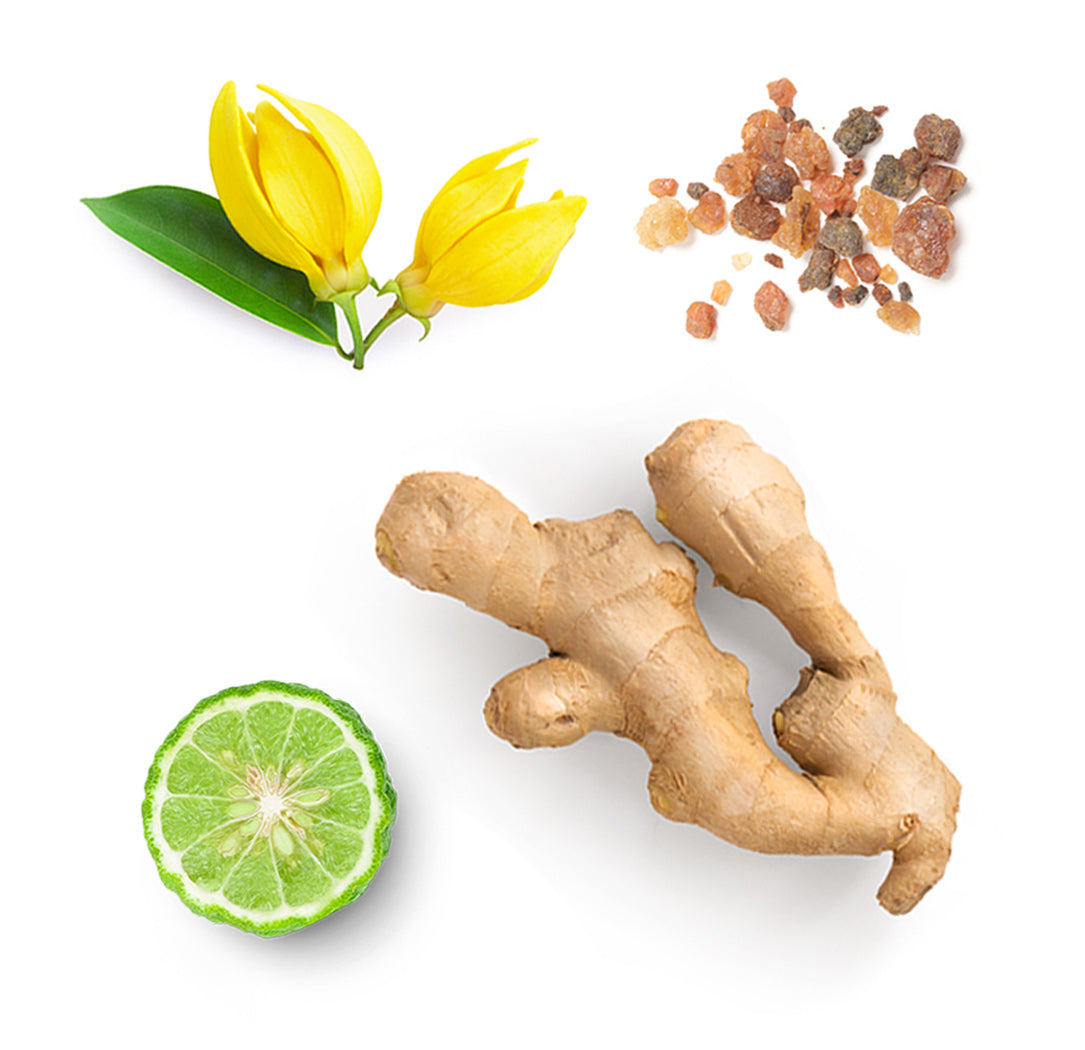 cheer ref whats inside 1085x1050 eu